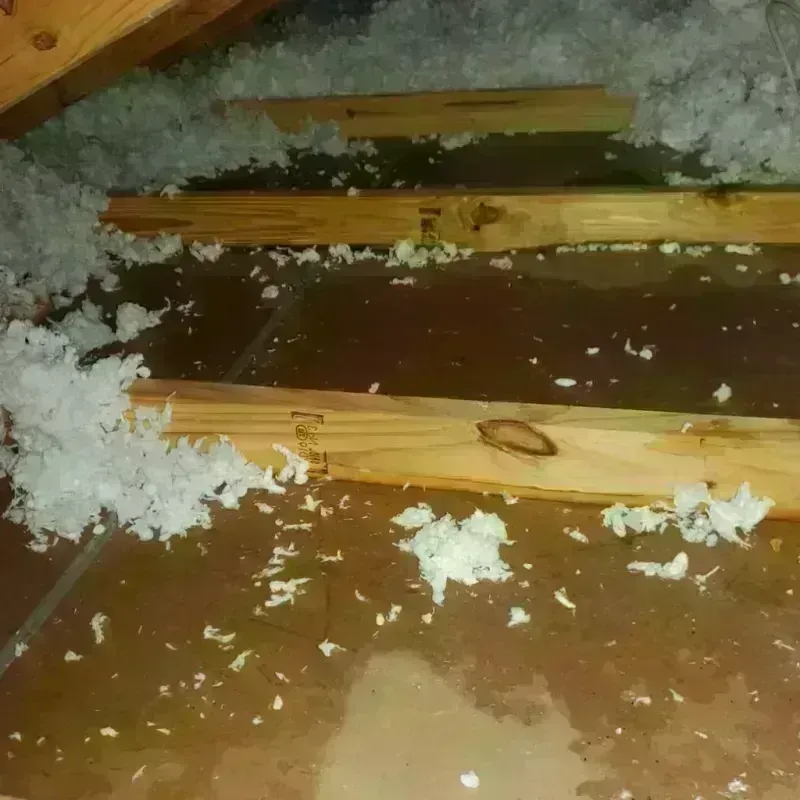 Attic Water Damage in Paris, MO